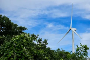 usinas eólicas e solares geram impactos socioambientais na bahia