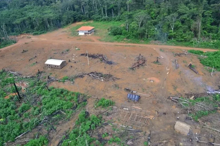 amazônia concentra quase metade dos conflitos no campo nos últimos 40 anos
