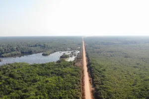 aprovação de pl da devastação e acordo do governo impulsionam projeto da br 319