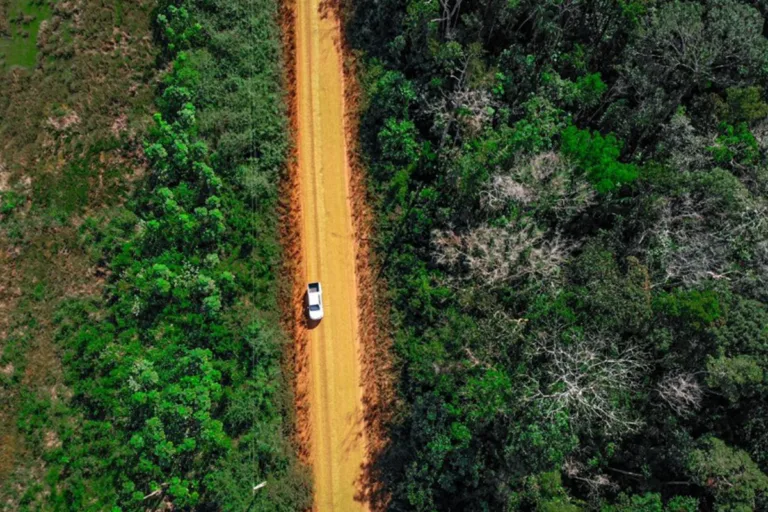 asfaltar a br 319 só será viável com controle ambiental rigoroso, diz ibama