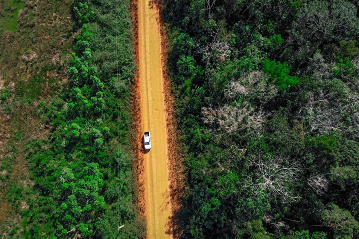 asfaltar a br 319 só será viável com controle ambiental rigoroso, diz ibama
