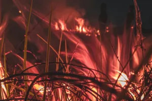 clima extremo incêndios florestais matam oito pessoas europa