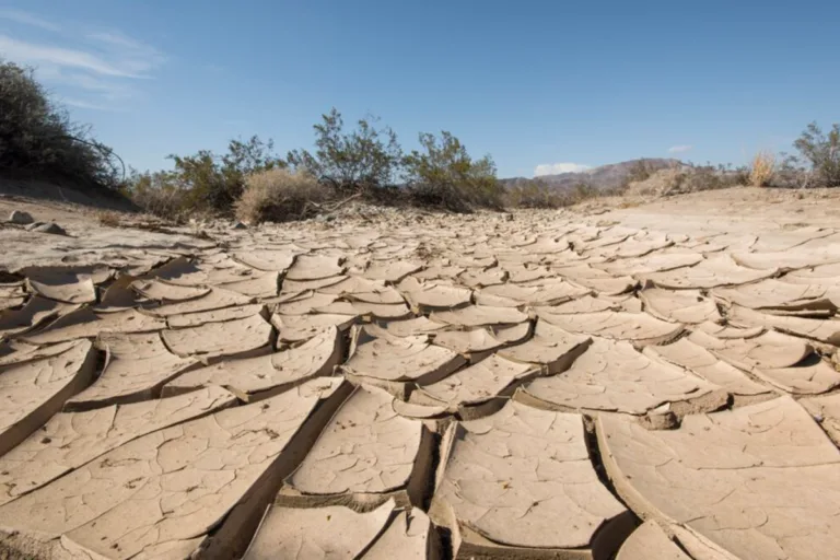 estiagem se espalha pela inglaterra com ano mais seco desde 1976 e calor recorde em junho