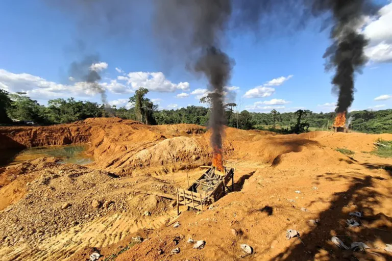 governo promove ações contra garimpo ilegal nas tis yanomami e kayapó