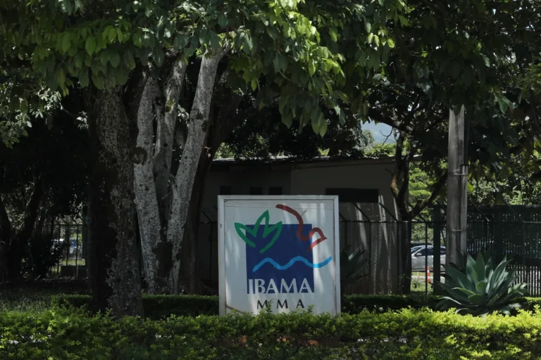 ibama quer incluir ações pelo clima em processos de licenciamento ambiental