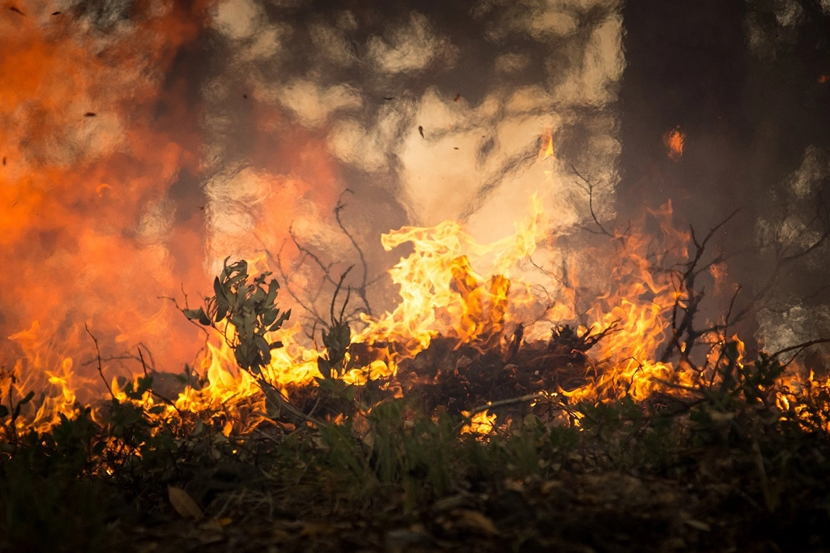 incêndios florestais devastam grécia e turquia