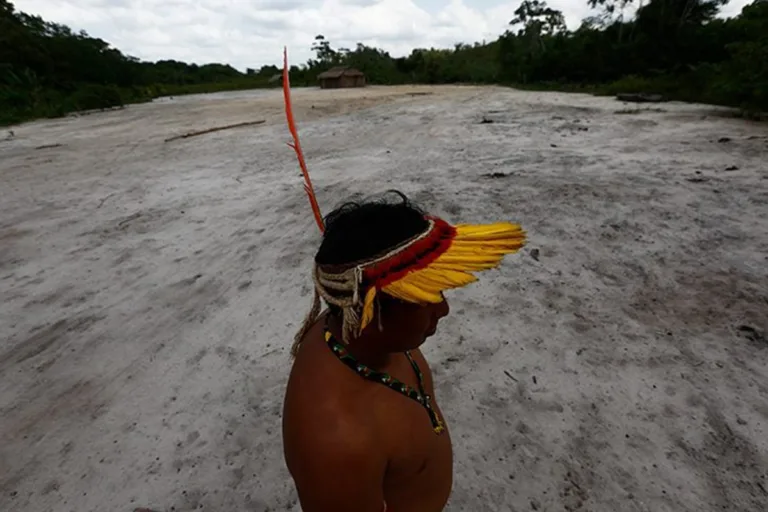 justiça suspende projeto de créditos de carbono em ti na amazônia maranhense