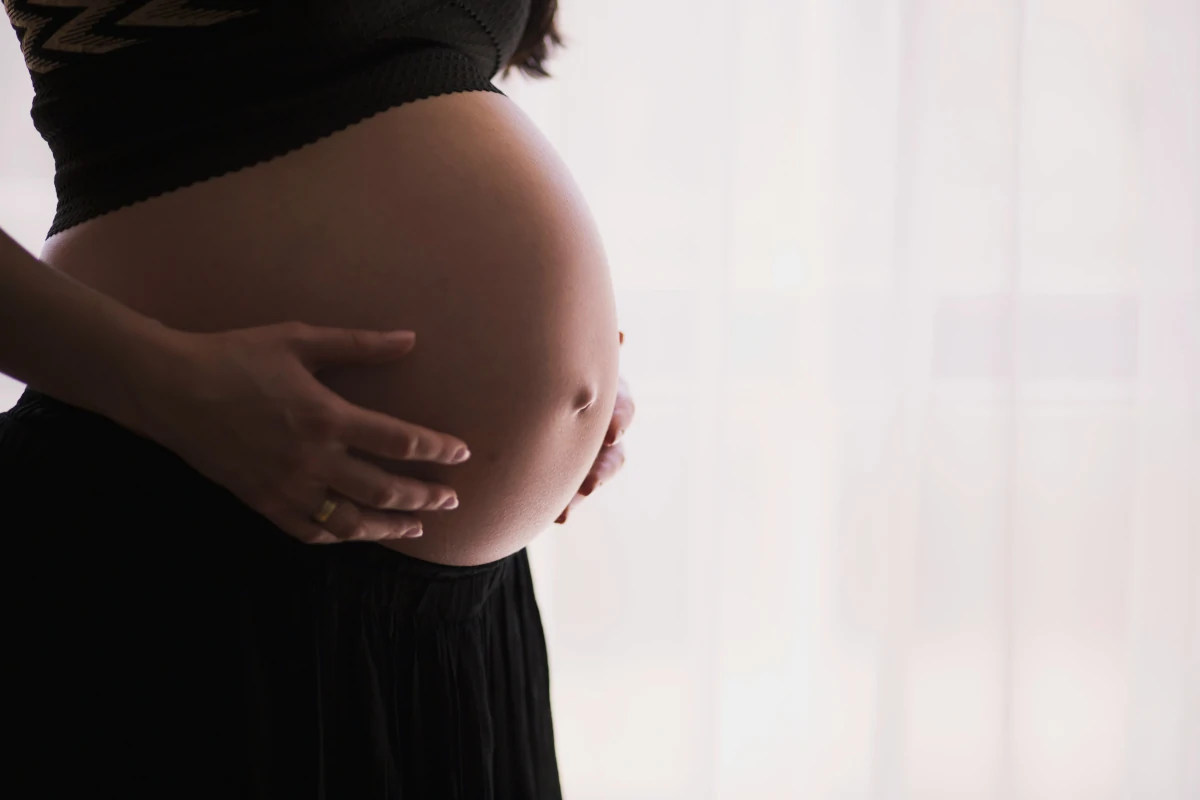 microplásticos placenta