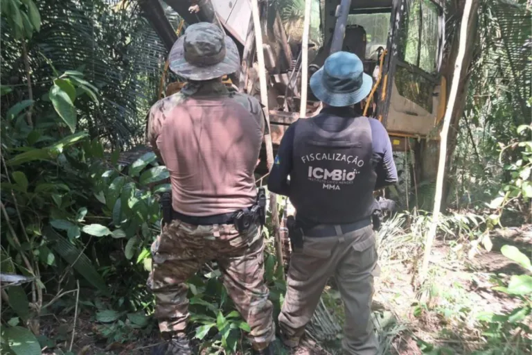 operação garimpo ilegal carajás