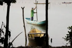pescadores protesto pl devastação