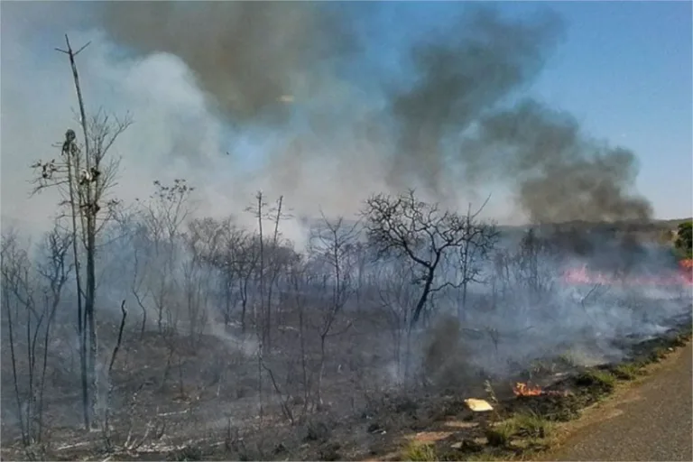 pl da devastação veto parcial