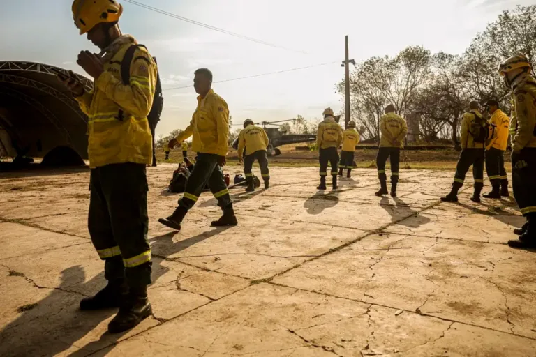 política nacional de combate ao fogo tem resultados positivos no seu primeiro ano