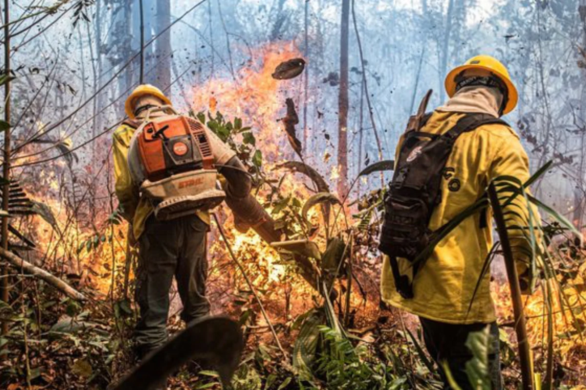 alertas de focos de incêndios