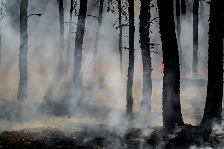 calor extremo incêndios florestais frança e espanha