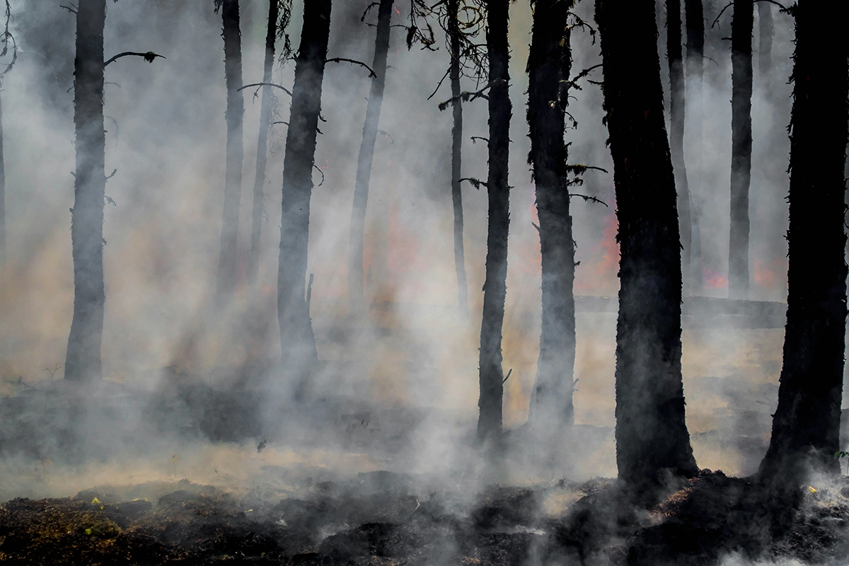 calor extremo incêndios florestais frança e espanha