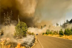 canada incêndios florestais