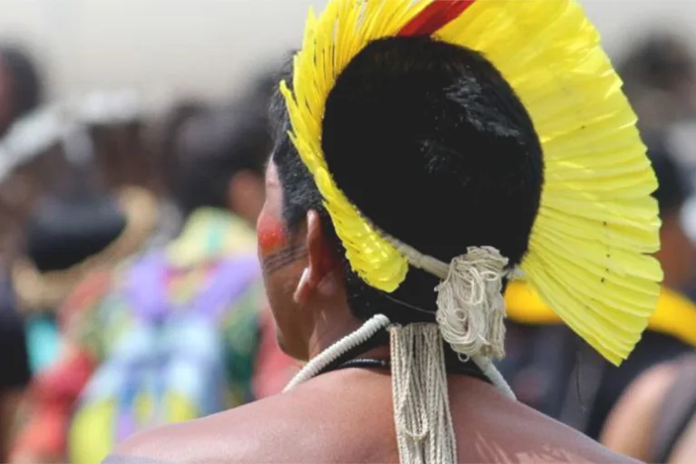 cop30 povos indígenas