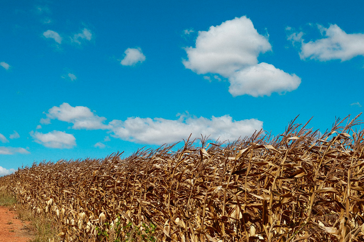 deputados sp benefícios a grileiros tarcísio