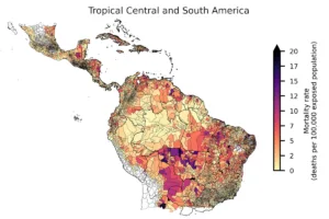 desmatamento matou mais de meio milhão de pessoas em 20 anos
