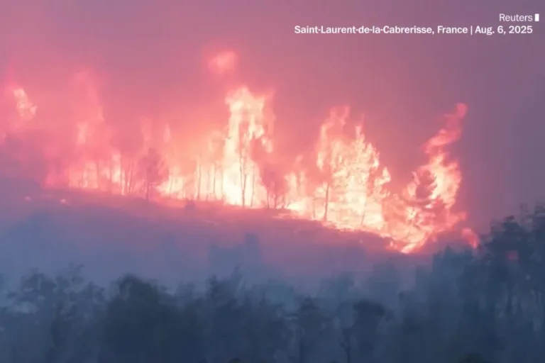 frança incêndio florestal