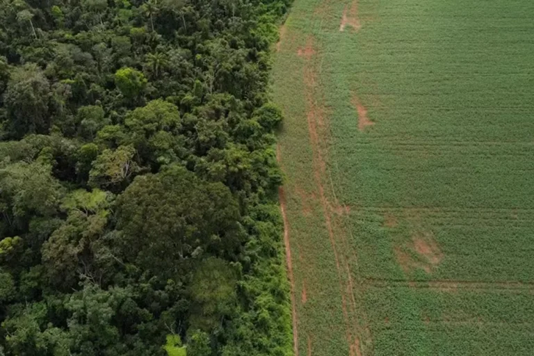 governo suspensão moratória da soja