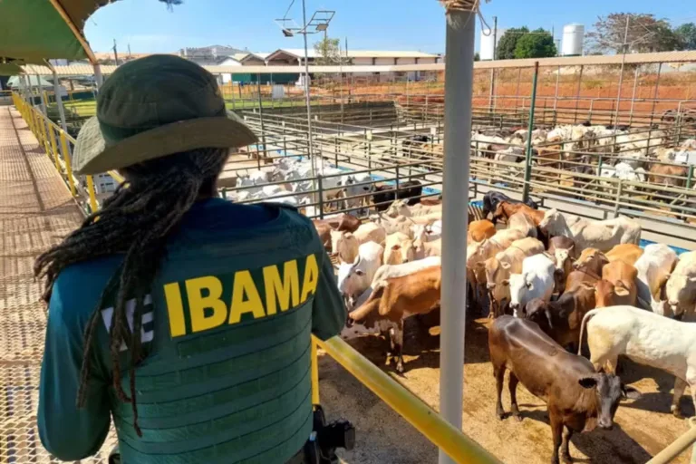 jbs ibama carne desmatamento