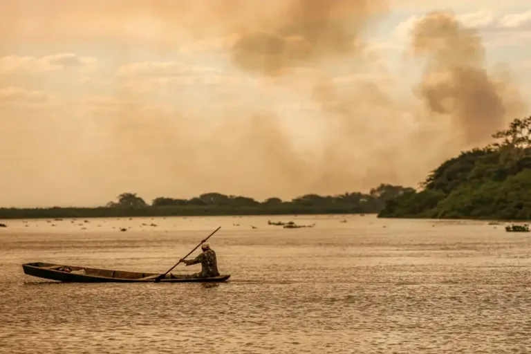 julho área queimada brasil