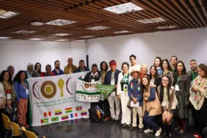 organizações sociedade civil governança otca