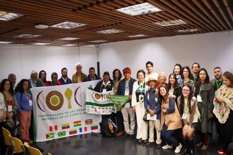 organizações sociedade civil governança otca