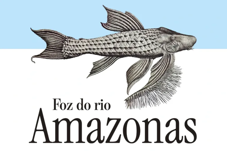 pesquisadores foz do amazonas