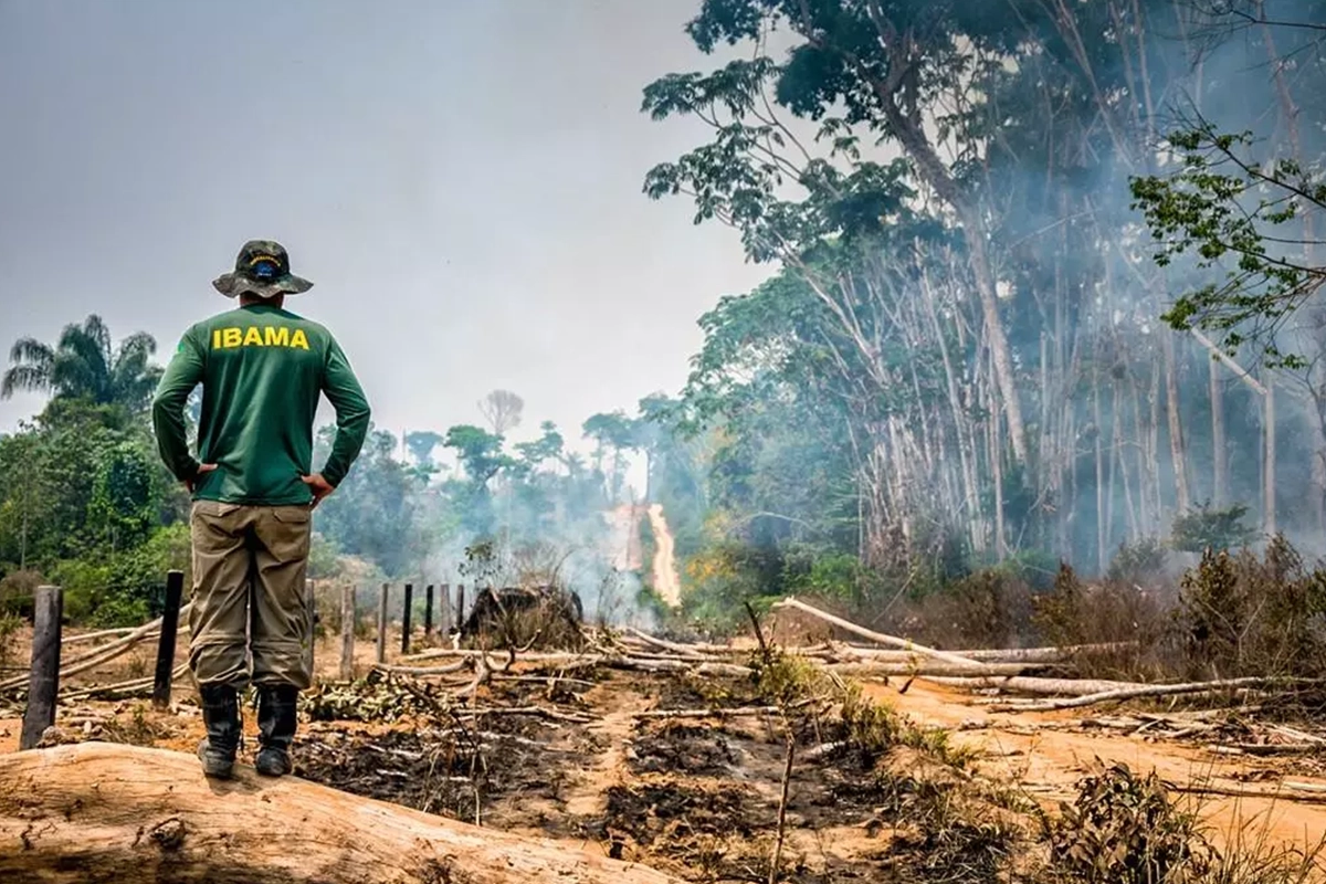 pl da devastação desmatamento amazônia relatora onu