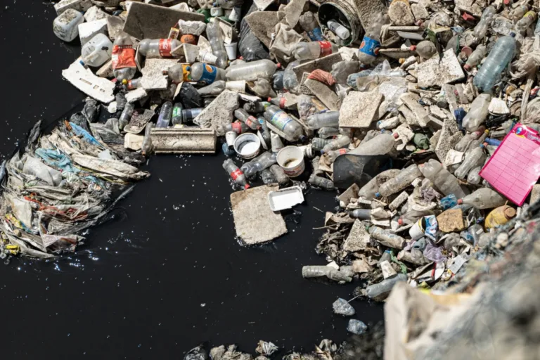 poluição plástica lobby fóssil