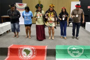 povos indígenas plano clima 2