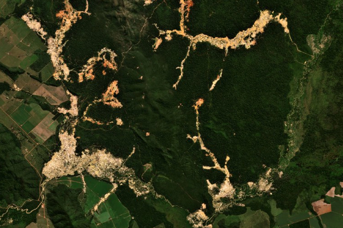 servidores do ibama e policiais são atacados por garimpeiros na terra sararé