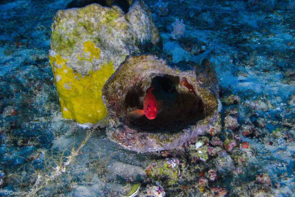 amazonia livre petroleo gas blocos 59 02