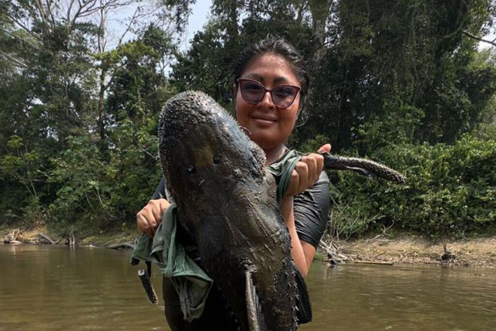 amazonia livre petroleo gas blocos putumayo 01