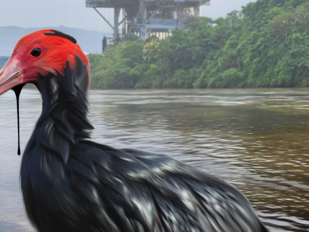 amazonia livre petroleo gas impactos galeria 4