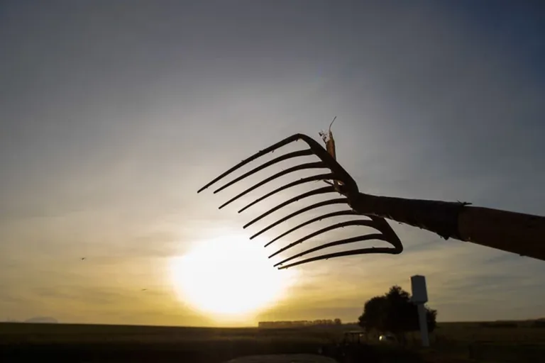 cop30 agro financiamento climático produção agropecuária amazônia