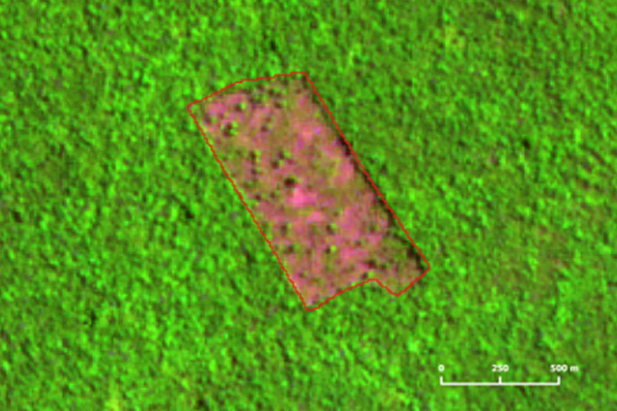 desmatamento Áreas protegidasamazônia 2025