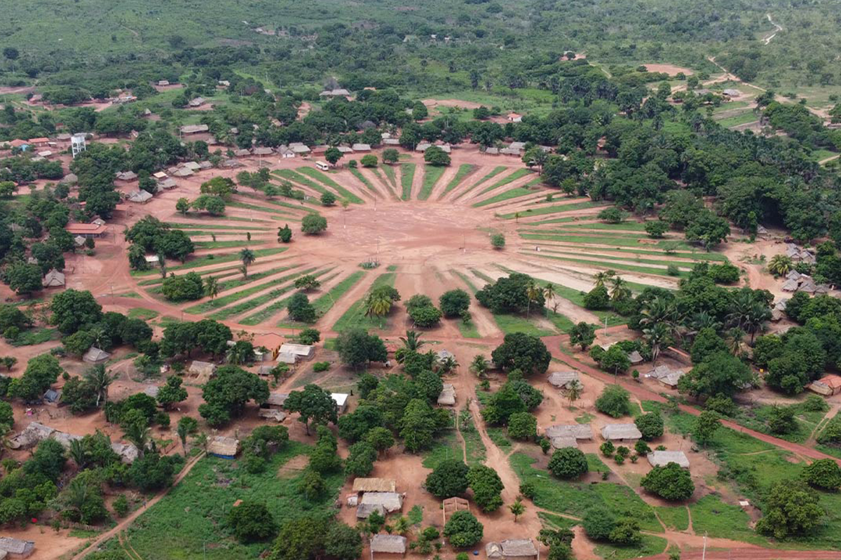 empresa ligada a bet desmatou terras indígenas no maranhão
