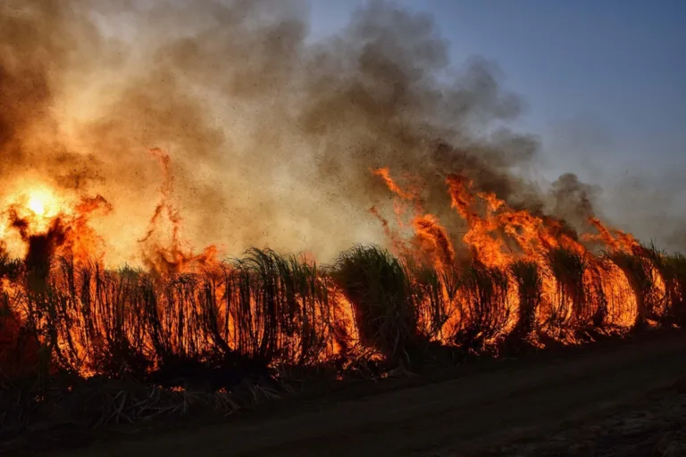 incêndios florestais poluição do ar