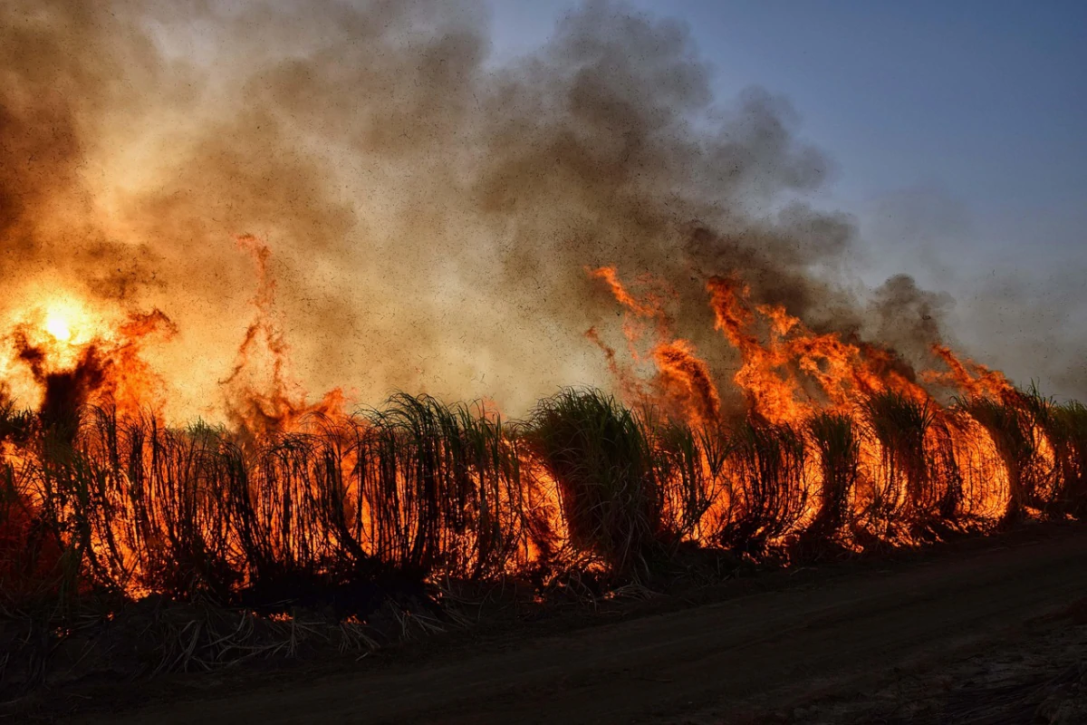 incêndios florestais poluição do ar