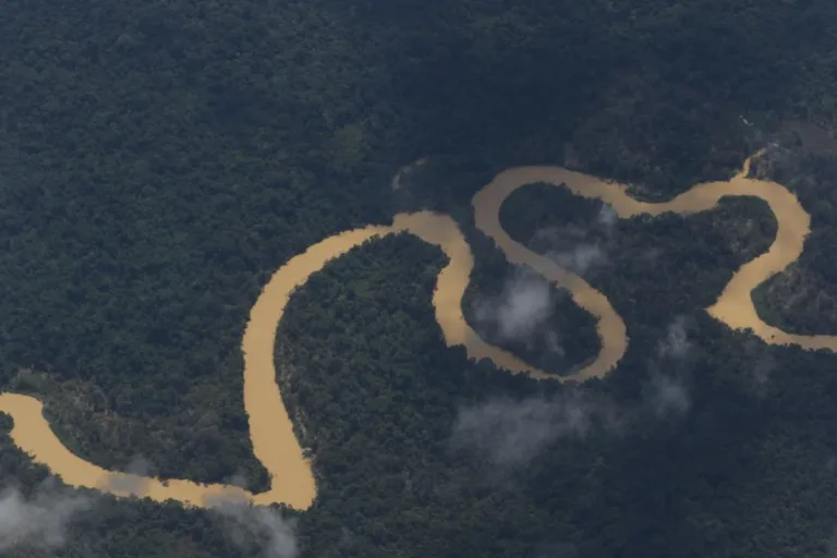 potássio na amazônia