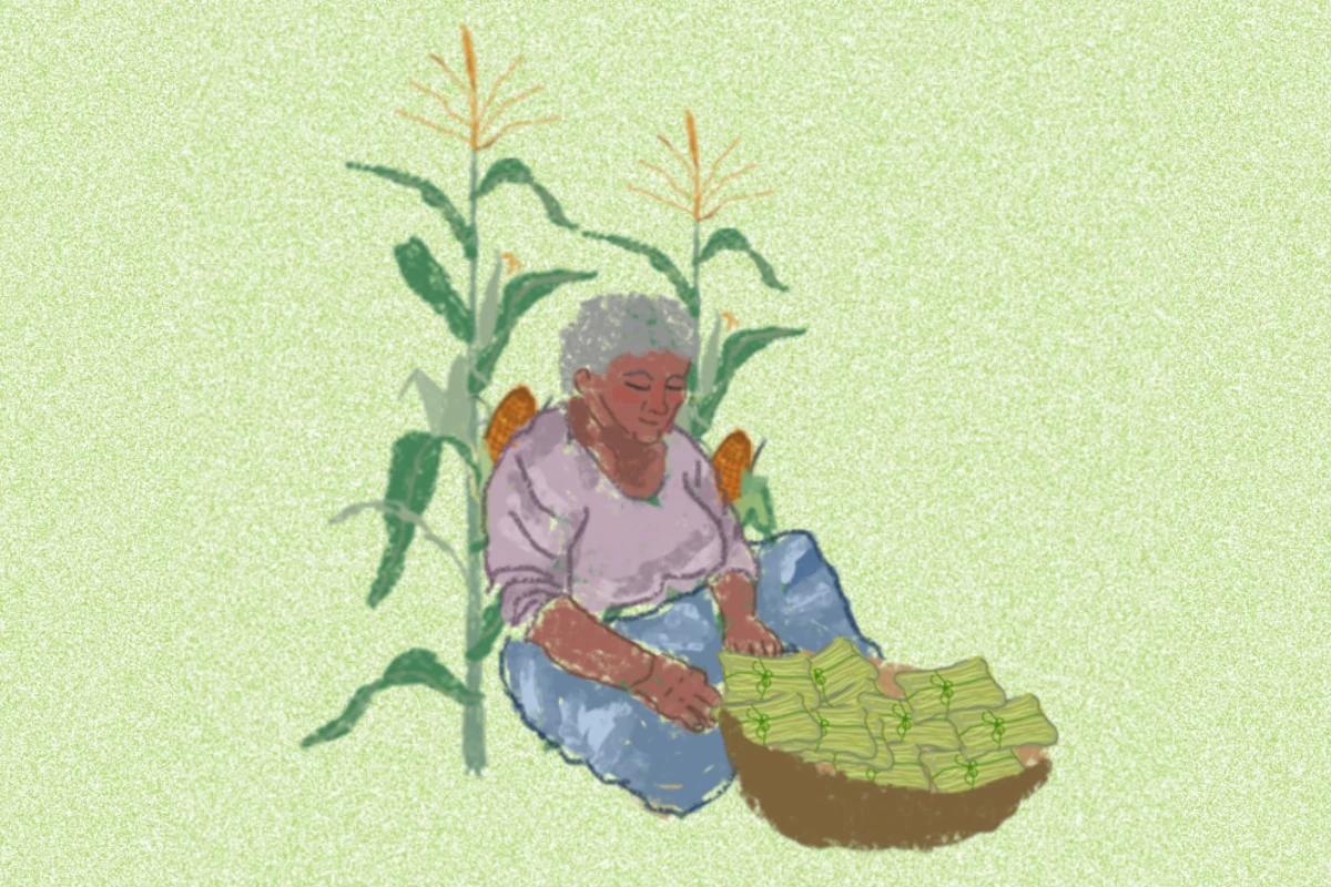 produção agroecológica