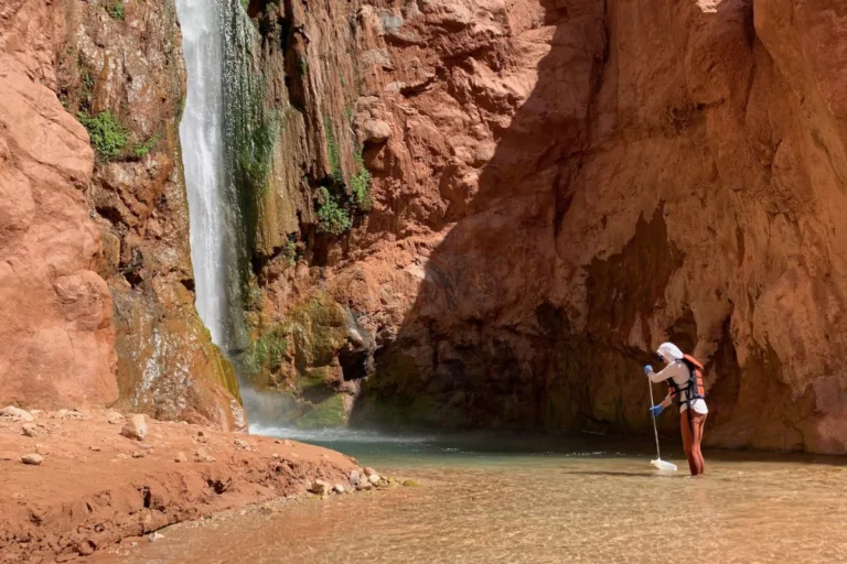 trump adaptação climática