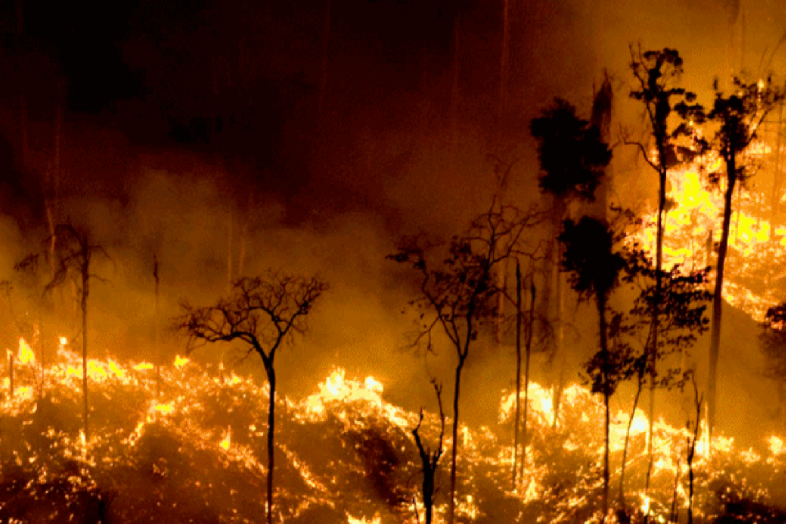 acordo de paris evitar calor extremo prancheta 1