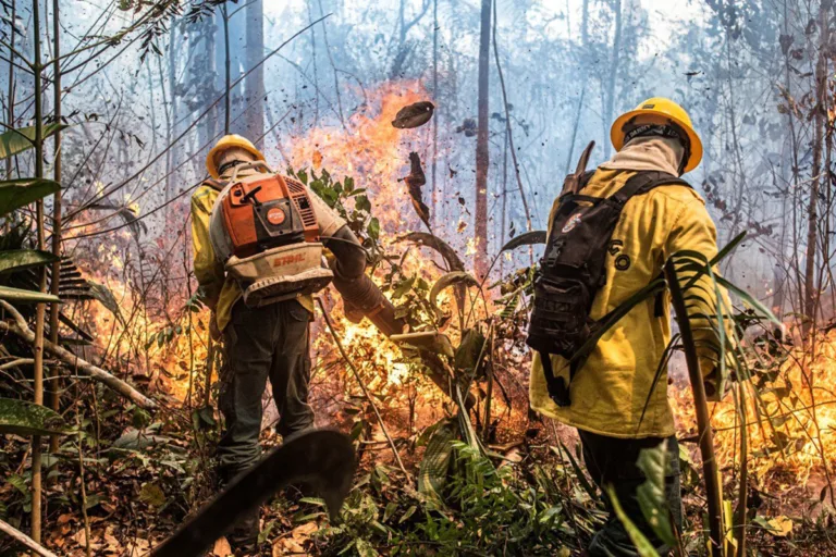cop30 governo campanha cop da fumaça