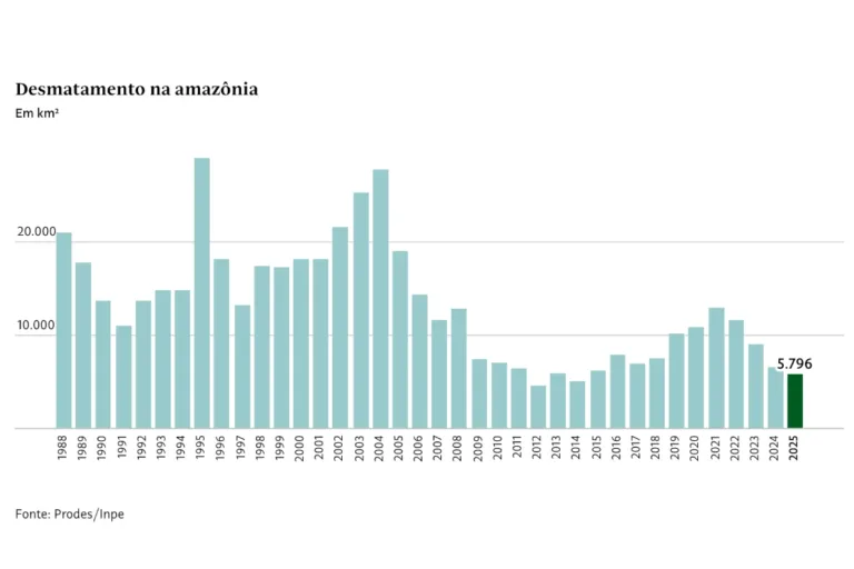 desmatamento cai 3º ano 2