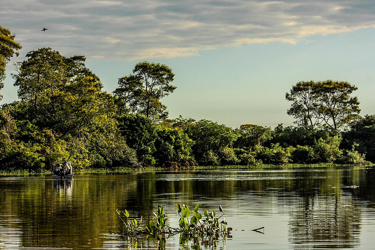 estatuto pantanal manejo do fogo