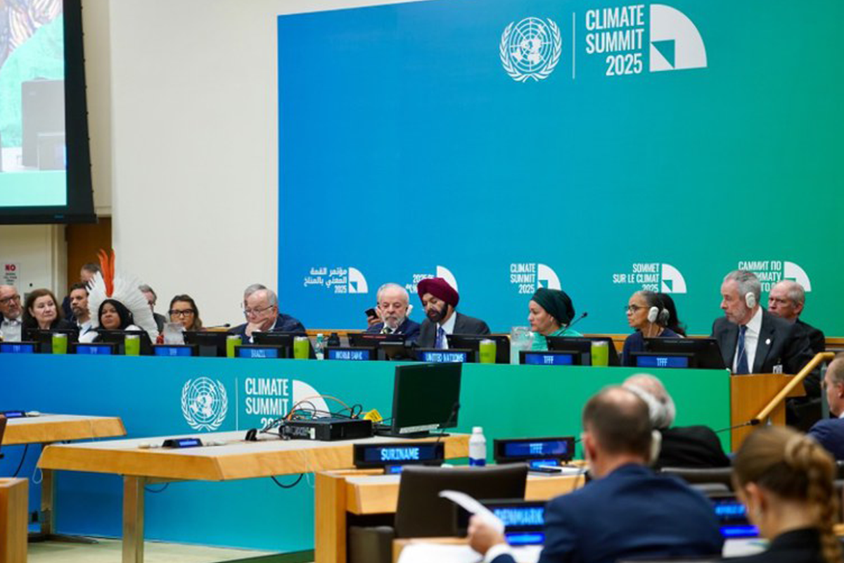 fundo florestas tropicais prêmio internacional polêmica